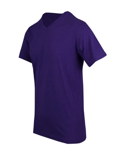 Picture of RAMO, Mens V-Neck Tee